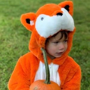 3t Fox Costume